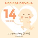 우성임부복 | [임신 14주] 분당제일여성병원 산후조리원 투어, 예약