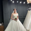 (주)비즈플래너 | 대전 웨딩플래너와 본식 드레스 피팅 투어 후기 | 웨이비 루즈앤모니끄 라라드메