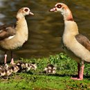 대행영농조합법인 이미지