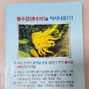 전라남도 농업기술원 과수연구소 이미지