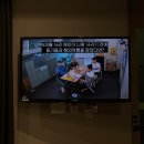 월전꼼장어장어 | 서울 대전 부산 대륙횡단 3박 4일 여름휴가 (feat. 연패 행진 롯데 자이언츠)