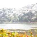 희원 이미지