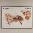 강릉 보청기 성공적인 후기