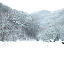 [지역]경상남도 마산시 내서읍 중리 눈온 다음날 풍경 -3편- 이미지