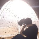 “신맛 난다고요?” 러브버그도 직접 씹었다…절반은 암컷·절반은 수컷 ‘세계 최초’ 곤충도 발견 이미지