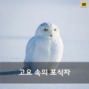 더하얀세상 이미지
