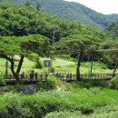 운일암반일암 야영장 | 진안고원길 9구간 운일암반일암 숲길
