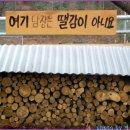 일영농장 이미지