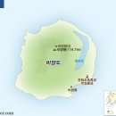 비양도의 비양나무자생지 이미지