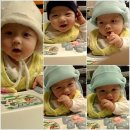 시우로2 이미지