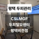 우리동네힐링샵(비전점) | 평택 두피관리 CSLMGF 두피탈모센터 평택비전점 평택 힐링스파 탈모관리 추천