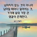 넬슨 만델라, "삶의 가장 큰 영광" 이미지