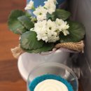 우주라이크커피 이미지