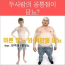 마른당뇨 와 비만형당뇨 이미지