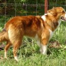 드릴 타임 이미지