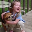 큰빛태권도 이미지