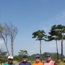 동해 해군골프장 이미지