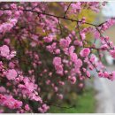 산수마을 이미지