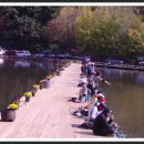 국화낚시터 이미지