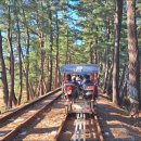 공양왕길 이미지