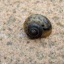 풍산공원 이미지