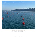 동네방네수산 이미지