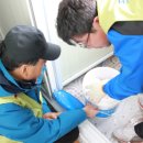 보노포스 이미지