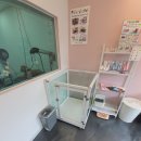 로니펫 | 해남 애견미용실/목포 애견미용실 [로니펫/오구오구]시공후기