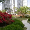 SK SKY VIEW 이미지