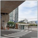 온천천 연산교 밑 둔치 | ♣< 94호 > 부산 웰빙 시민 공원 " 온천천 " 산책 중에 높이뛰기선수 숭어와 귀공자 잉어를 만나다~♣