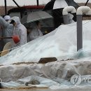 김경태농장 이미지