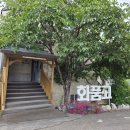 천안고추생선 | 천안 성거 맛집- 화덕을 품은 고등어(부모님 모시고 가기 좋은 내돈내산 생선구이, 갈치조림 후기)