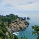 단비화원 - 은평구 연서로13길 20 | [거제도 여행] 울산에서 추발한 거제 외도보타니아 주말 나들이! 장승포항 유람선부터 환상의 섬 산책...