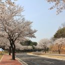 공군교육사령부