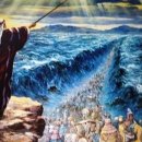 긍휼의집 이미지