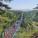 강원도 원주시 소금산(小金山) 여행(당일치기) 이미지