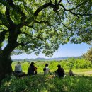 우포늪생명길 이미지