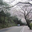 우암산순환로 이미지