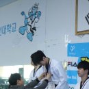 코리아 익스트림 태권도 | 2023년에도 여전히 최고의 성과를 내고 있는 YJY 익스트림 태권도(분당, 위례 입시반 &amp; 선수반 상시 모집)