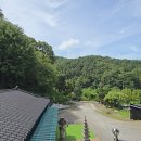 매미들,7일을 노래하다 울다 법당에 들어와 천도를 바라다. 이미지