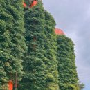 선호목장 | 충남 예산 아그로랜드 태신목장 후기 | 부모님과 다녀온 예산 여행 코스, 입장료·트랙터·우유농가까지