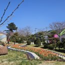 인생학교 봄 이미지