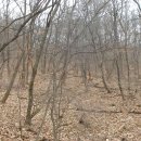 성산농원 이미지