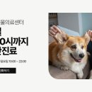 뉴본동물의료센터 이미지