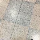 스포죤