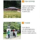 봉평 프로방스 이미지