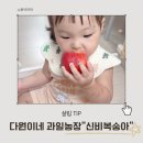 영천농장 | 영천 복숭아 제철, 다원이네 과일농장 신비복숭아 내돈내산 후기