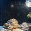 토이짱 | 7개월 아기랑 갈만한 곳:| 대구 토이빌리지 솔직후기