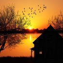 빅그라운드 이미지