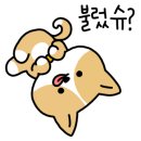 다비치안경 충주건대병원사거리점 이미지